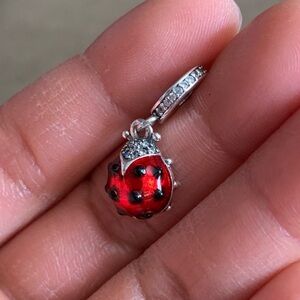 NWOT Red Ladybird Ladybug Dangle Charm